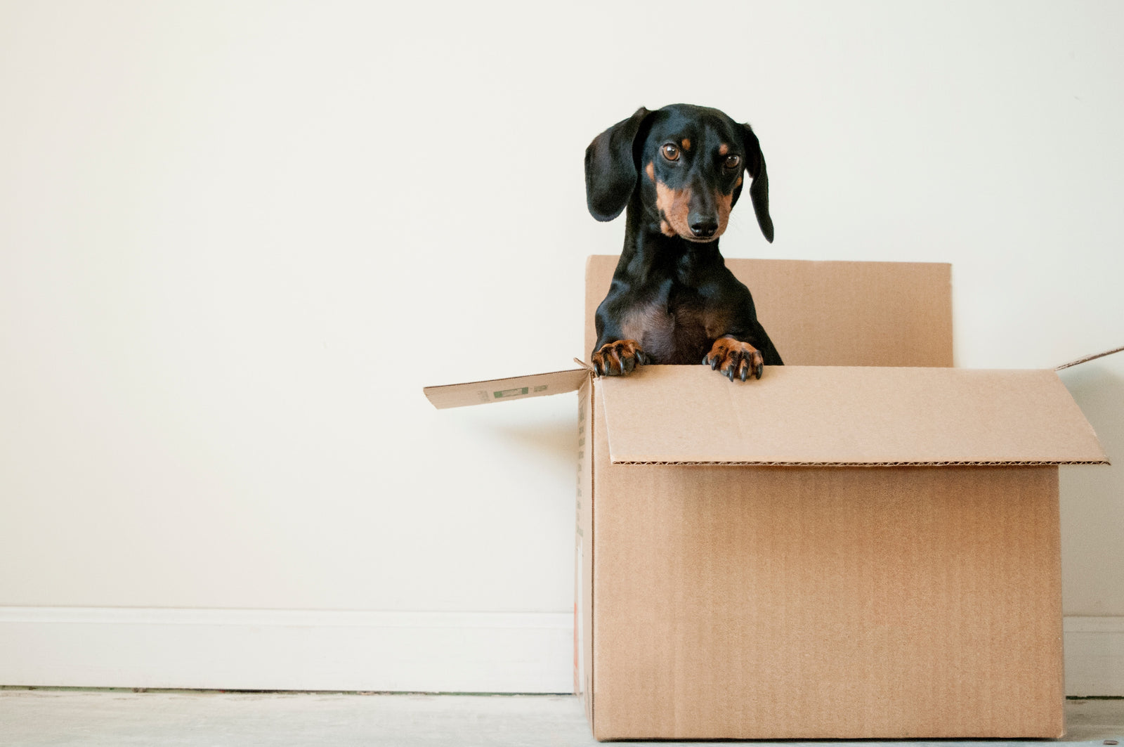 Today We're Thinking Inside The Box