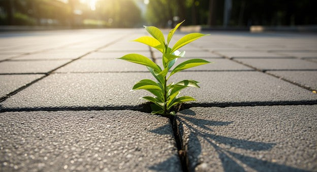 The Universe Rewards Adaptive Persistence